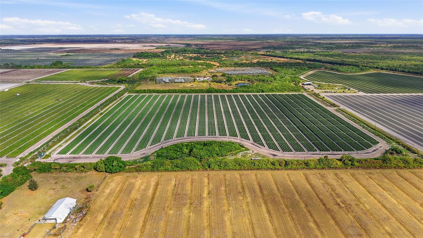 ACREAGE HEADER - Land