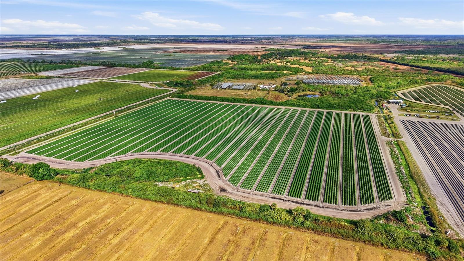 ACREAGE HEADER - Land