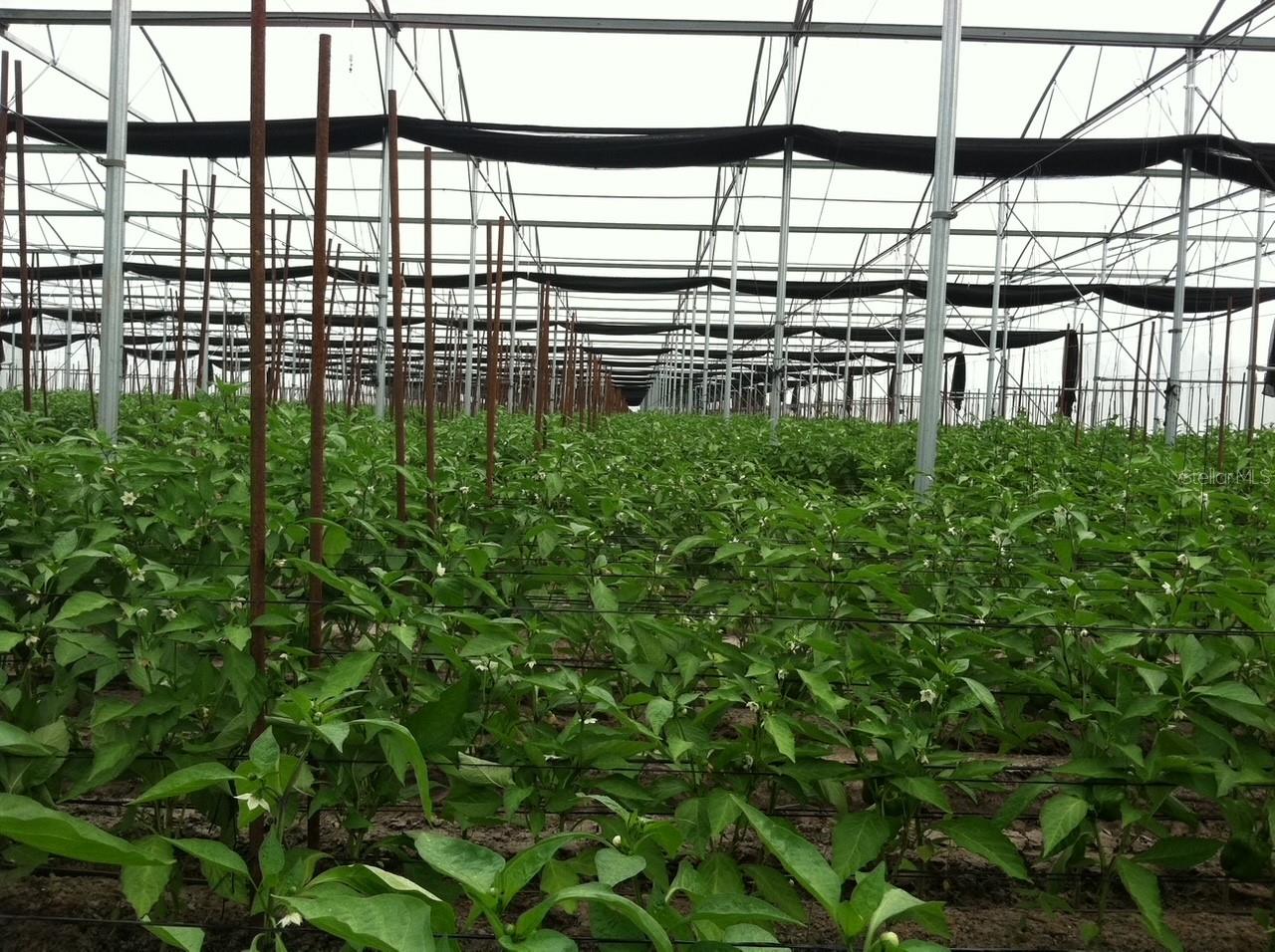 ACREAGE HEADER - Land