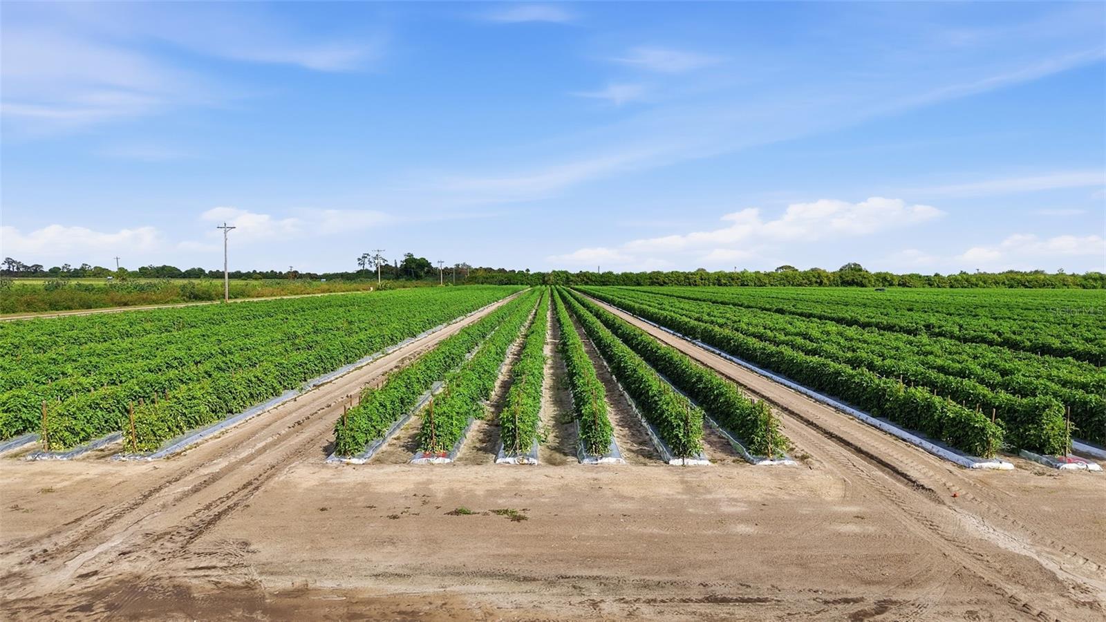 ACREAGE HEADER - Land