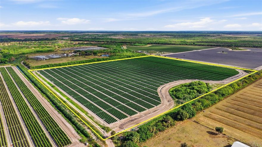77.92 acres of improved agricultural land with full utility infrastructure in place. Offered as two contiguous parcels, this turnkey farm includes approximately 400,000 sq ft of steel-constructed greenhouses with computerized drip irrigation, 40 acres of open fields on highly productive “Immokalee Gold” soil, and a three-phase electrical system. Three permitted 130-foot wells draw from the underlying aquifer to provide abundant fresh water for irrigation or future development needs.
The property also features several functional structures, including a 4-bedroom, 2-bath concrete residence, manager’s apartment, office, and packing/warehouse facility with a 1,200 sq ft cooler and loading docks.
Agricultural expansion or greenhouse construction can proceed without additional permitting under Florida AG zoning. A surrounding moat and single-entry road provide privacy and natural security.
This is a rare opportunity to acquire improved acreage suitable for active cultivation, redevelopment, or creation of a private estate compound. Ideally located near Immokalee Regional Airport (7 mi), Ave Maria (10 min), Naples (25 min), and Fort Myers (45 min).