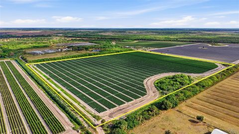 6150 PRINGLE LANE IMMOKALEE FL 34142