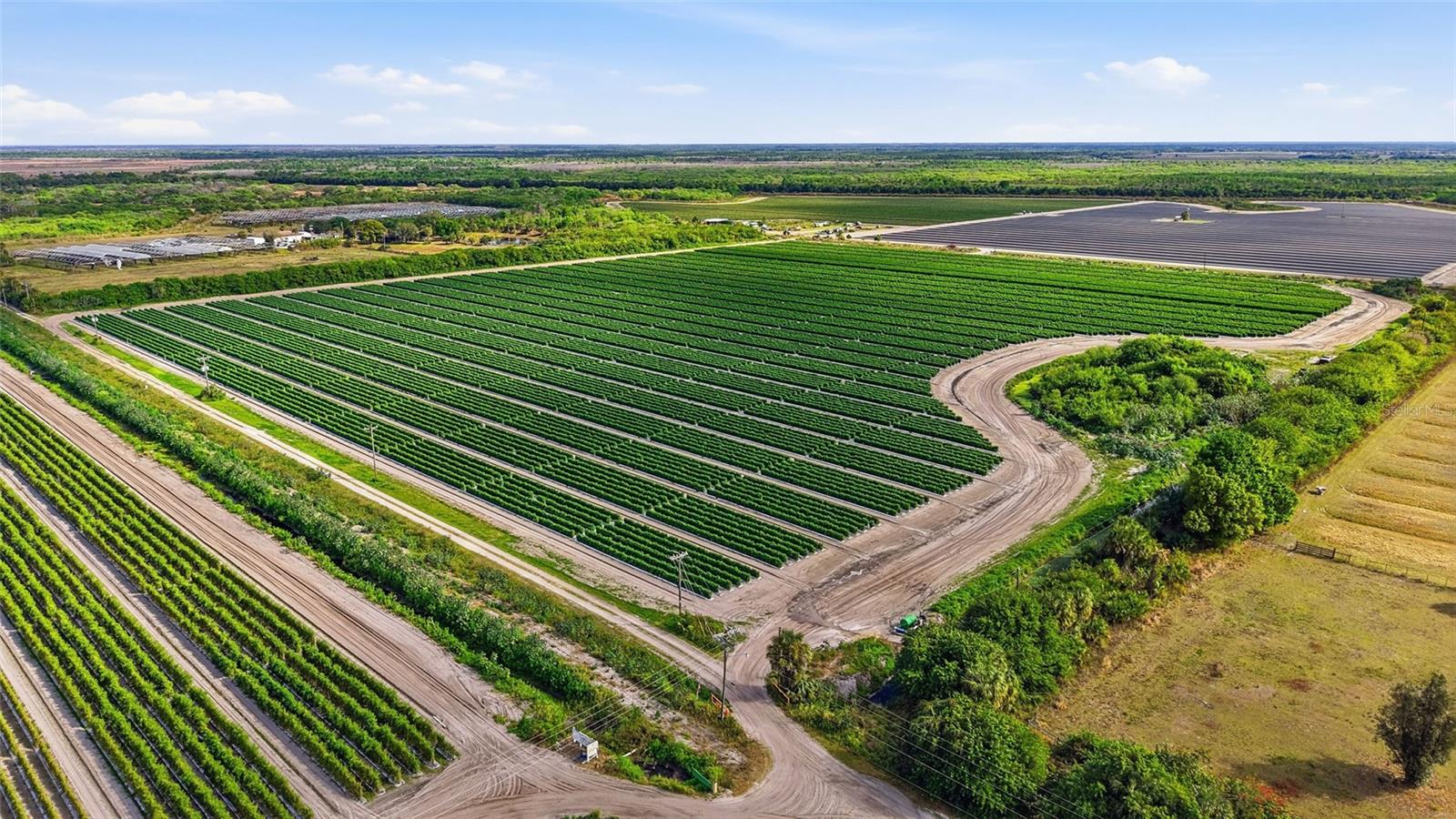 ACREAGE HEADER - Land