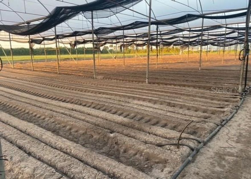 77.92 acres of improved agricultural land with full utility infrastructure in place. Offered as two contiguous parcels, this turnkey farm includes approximately 400,000 sq ft of steel-constructed greenhouses with computerized drip irrigation, 40 acres of open fields on highly productive “Immokalee Gold” soil, and a three-phase electrical system. Three permitted 130-foot wells draw from the underlying aquifer to provide abundant fresh water for irrigation or future development needs.
The property also features several functional structures, including a 4-bedroom, 2-bath concrete residence, manager’s apartment, office, and packing/warehouse facility with a 1,200 sq ft cooler and loading docks.
Agricultural expansion or greenhouse construction can proceed without additional permitting under Florida AG zoning. A surrounding moat and single-entry road provide privacy and natural security.
This is a rare opportunity to acquire improved acreage suitable for active cultivation, redevelopment, or creation of a private estate compound. Ideally located near Immokalee Regional Airport (7 mi), Ave Maria (10 min), Naples (25 min), and Fort Myers (45 min).