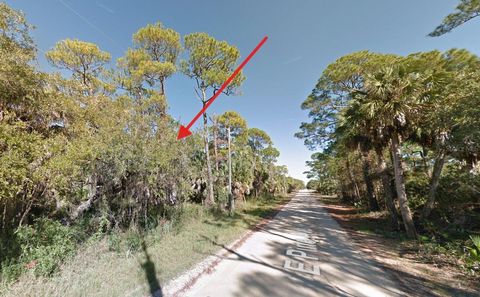 681 E PINE AVENUE EASTPOINT FL 32328