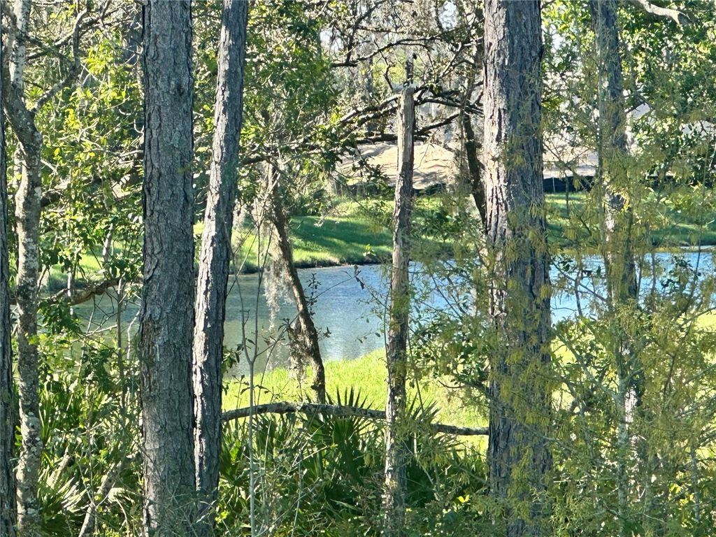 Photo of 18386 Oliver Twist Way, Winter Garden, FL 34787 (MLS # O6388830)