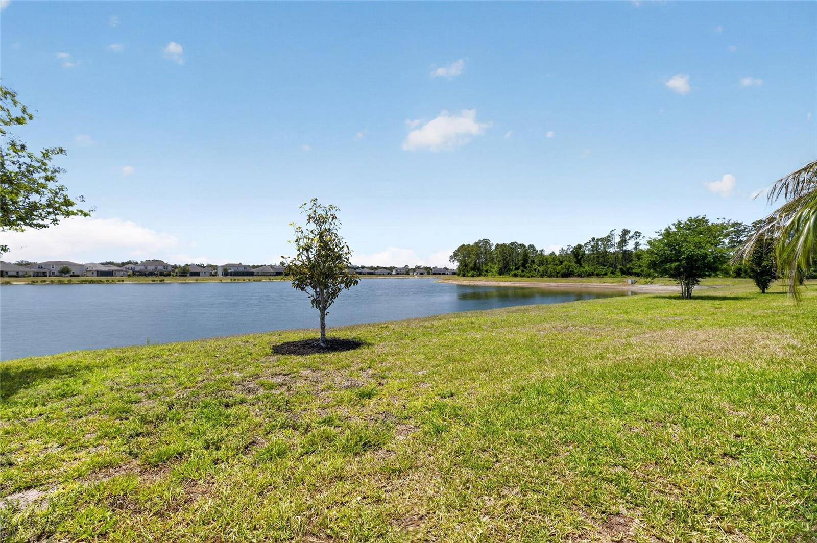 11633 CAMBIUM CROWN DRIVE