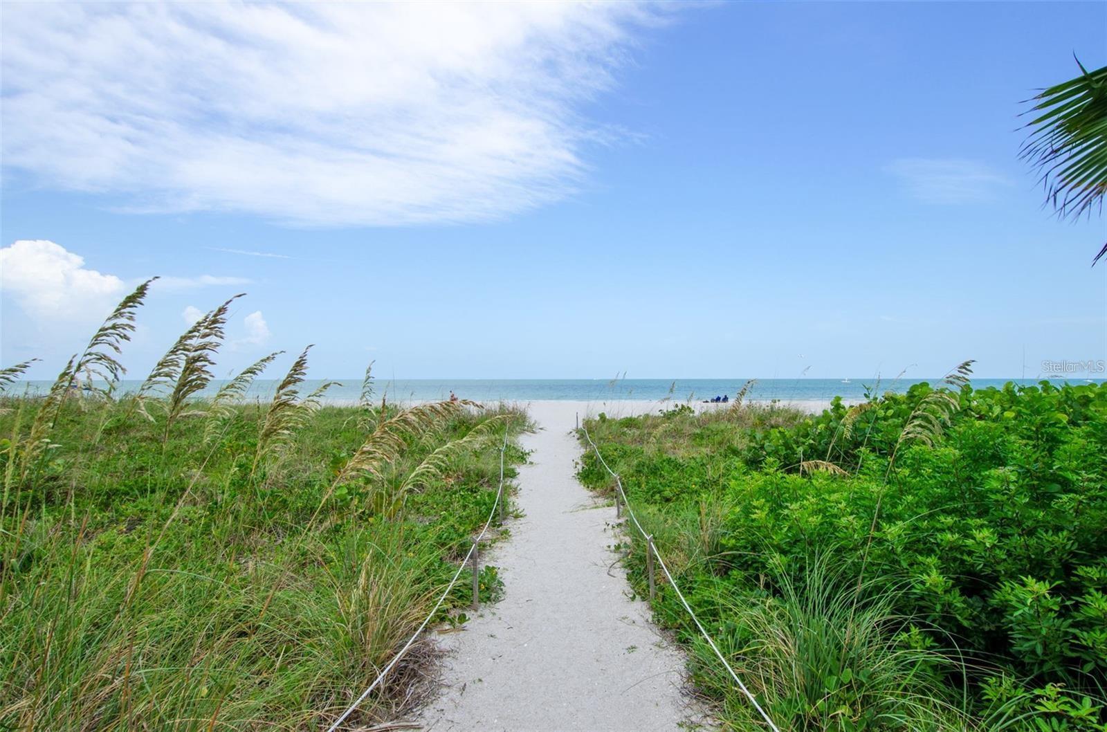 SAND KEY CONDO-SOUTH BEACH - Residential