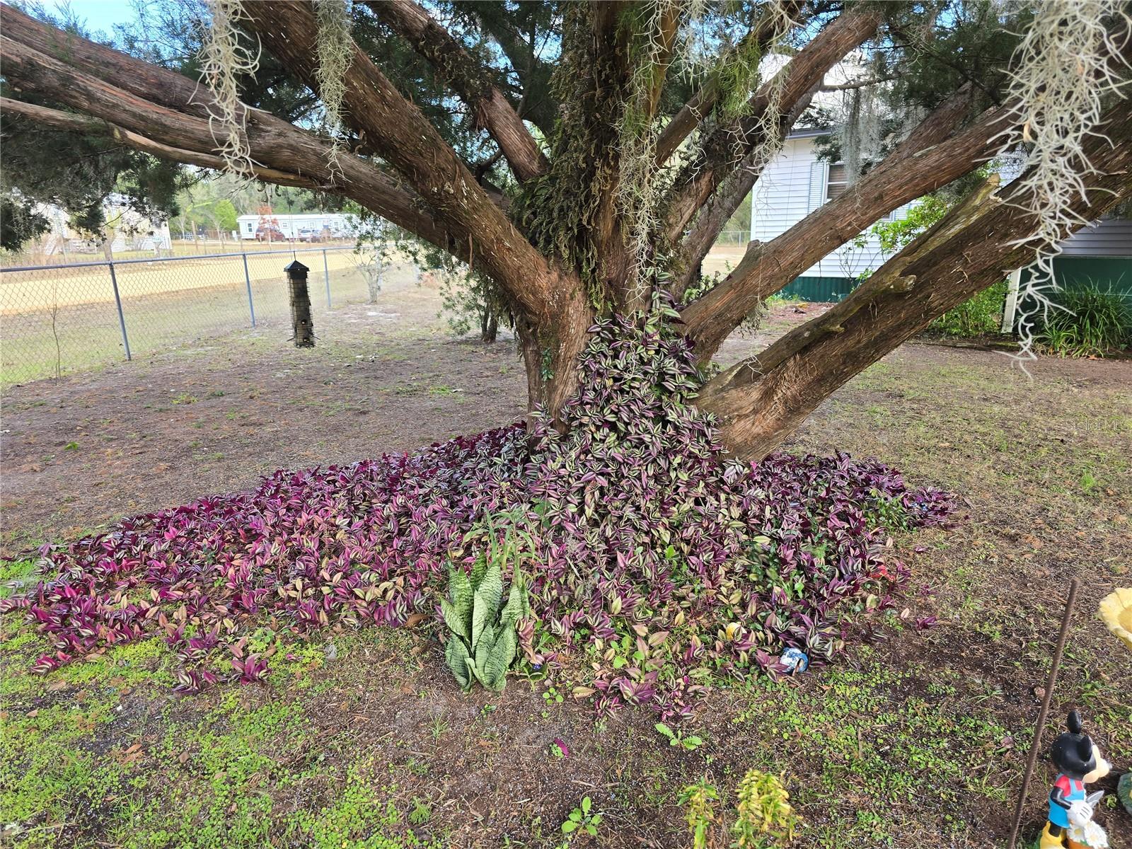 INTERLACHEN LAKES ESTATES - Residential