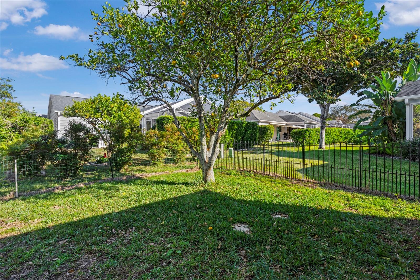 LADY LAKE ORANGE BLOSSOM GARDENS UNIT 17A - Residential