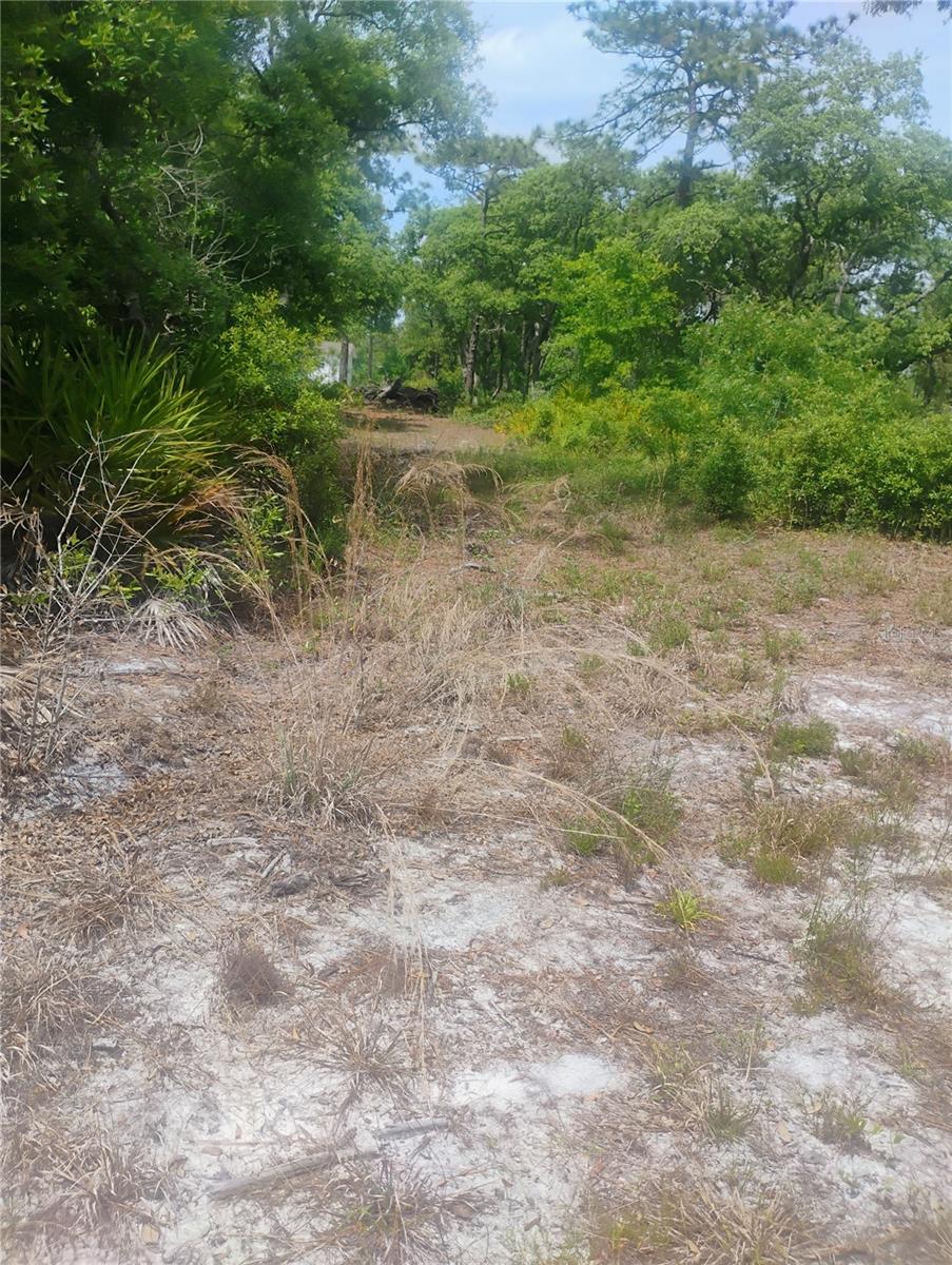 DORA PINES SUB - Land