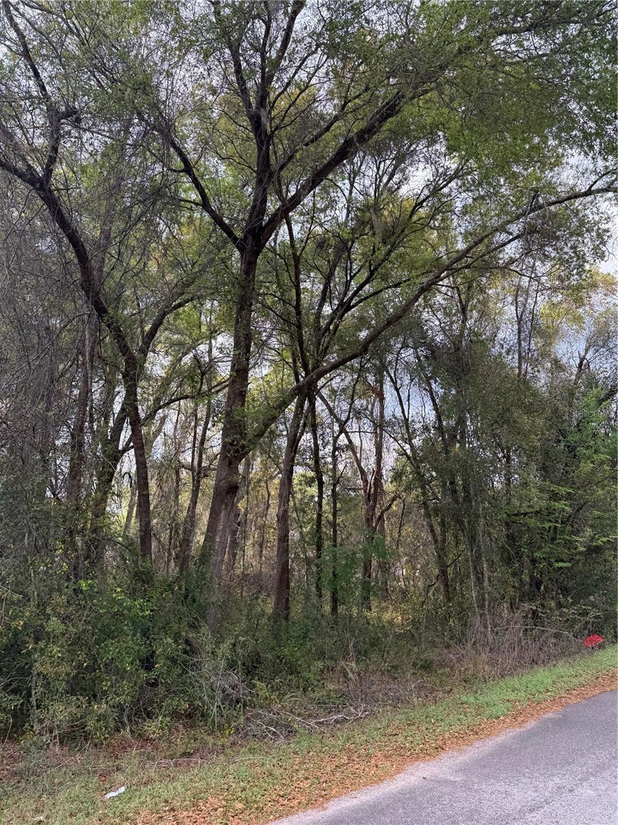 BREEZEWOOD ESTATE - Land