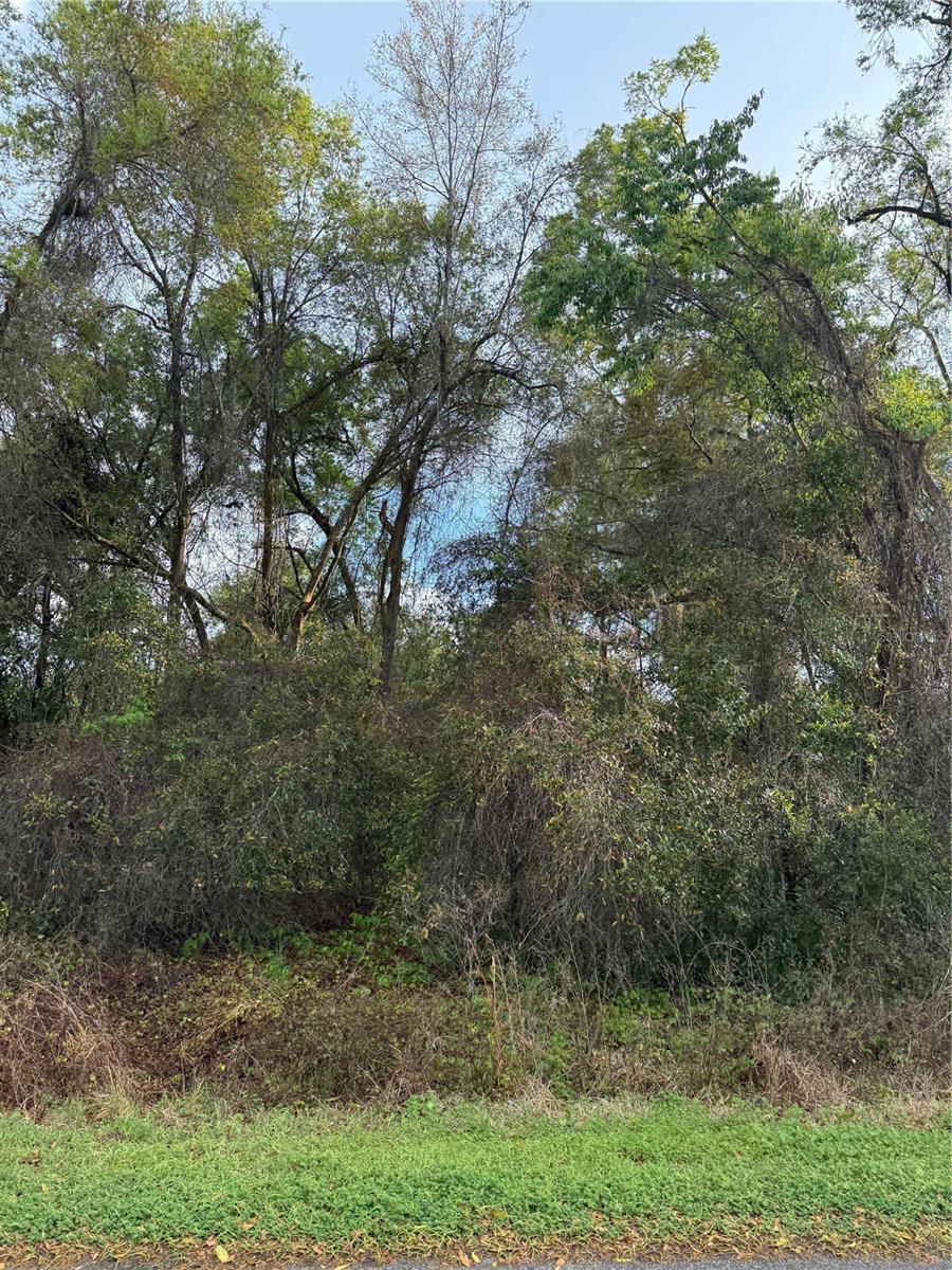 BREEZEWOOD ESTATE - Land