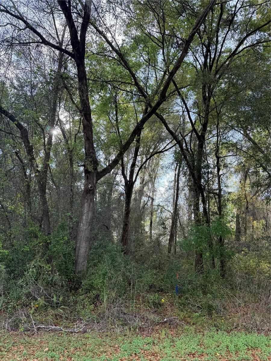 BREEZEWOOD ESTATE - Land