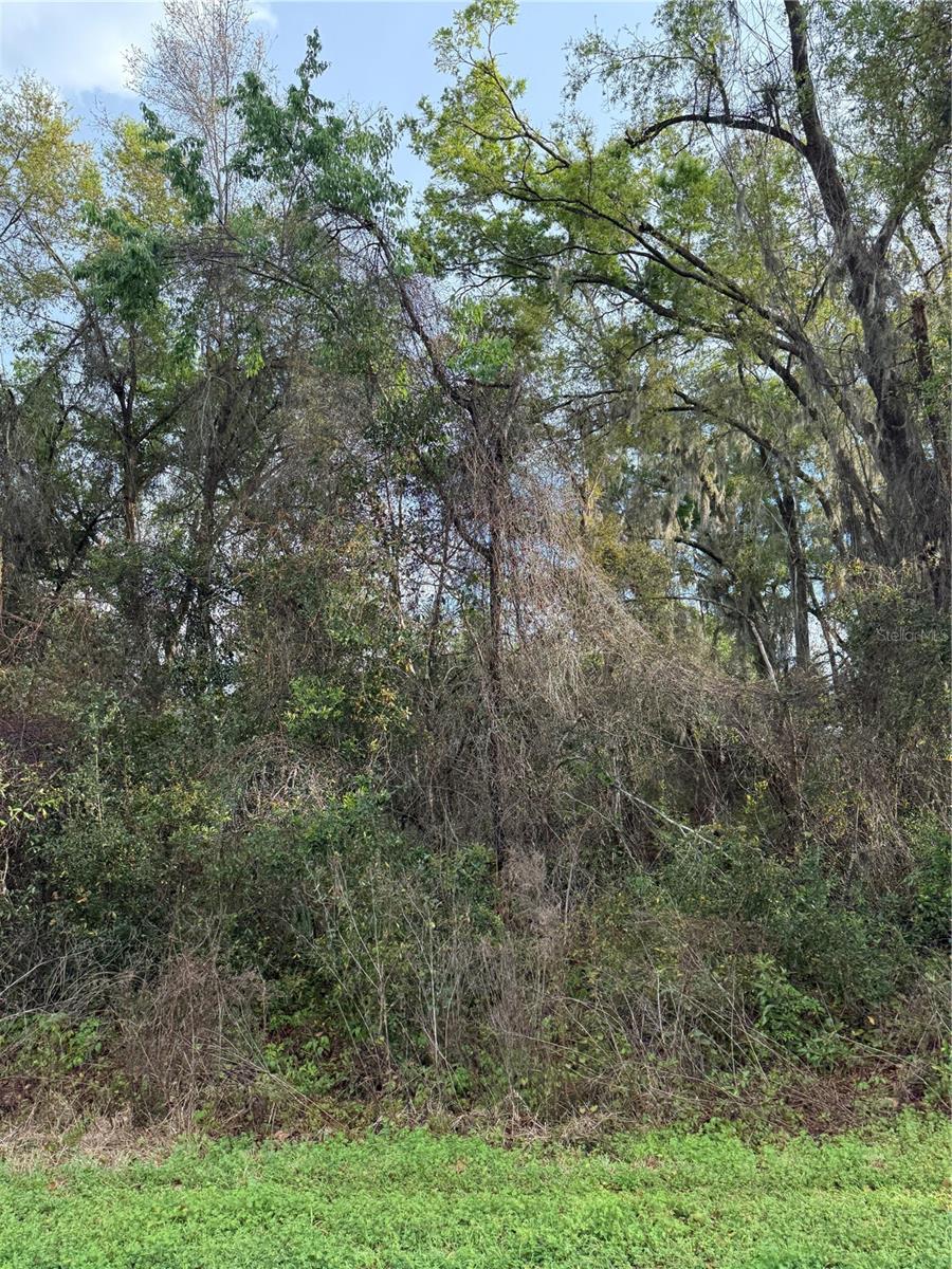 BREEZEWOOD ESTATE - Land