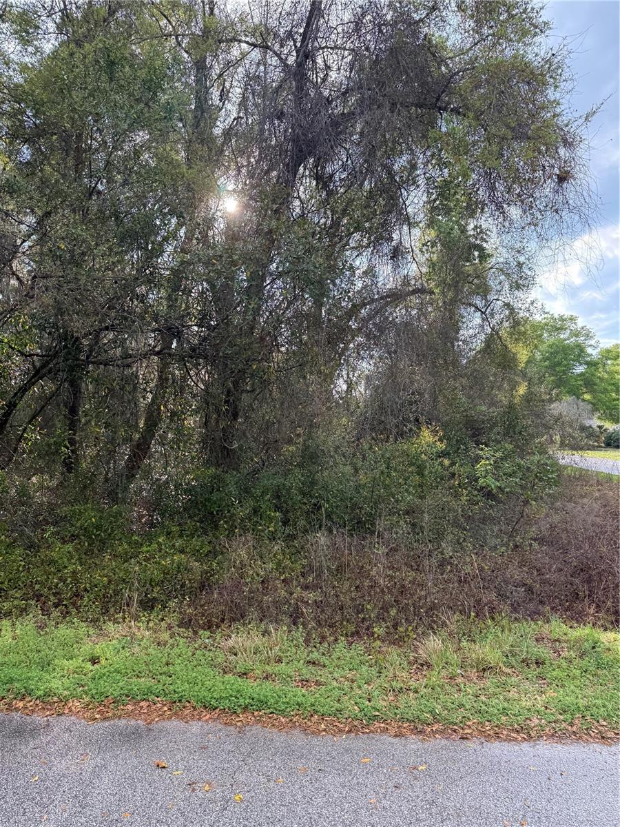 BREEZEWOOD ESTATE - Land