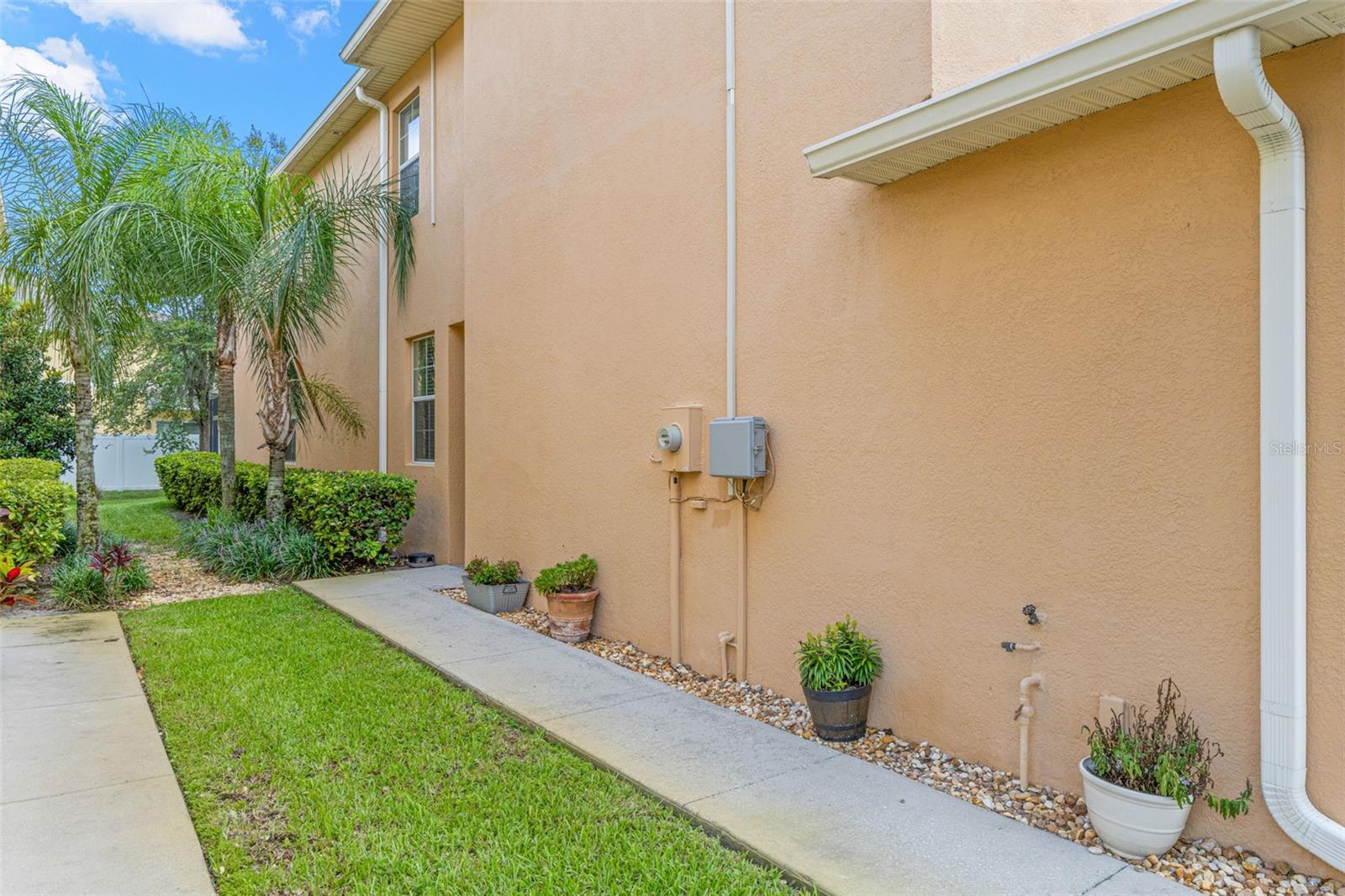 9524 TRUMPET VINE LOOP