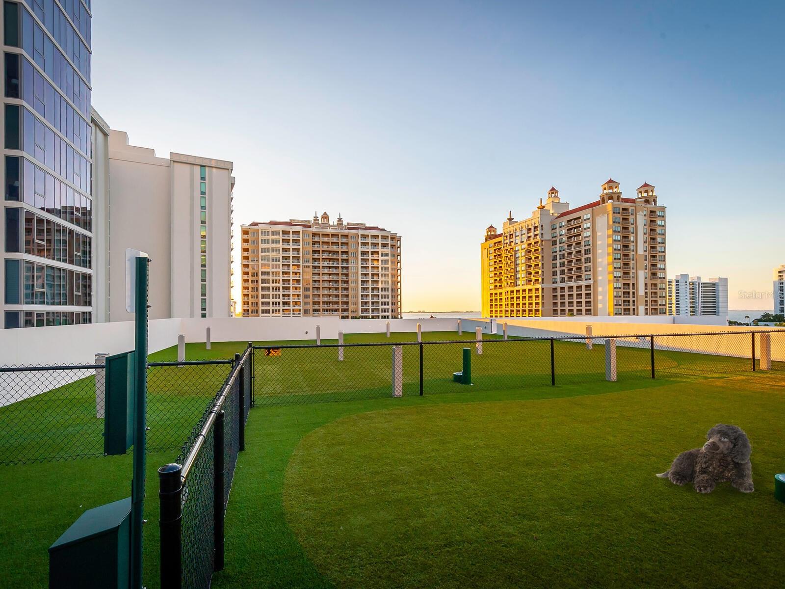 VUE SARASOTA BAY - Residential