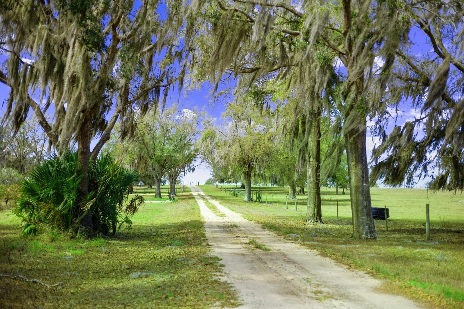 GROVELAND FARMS - Land