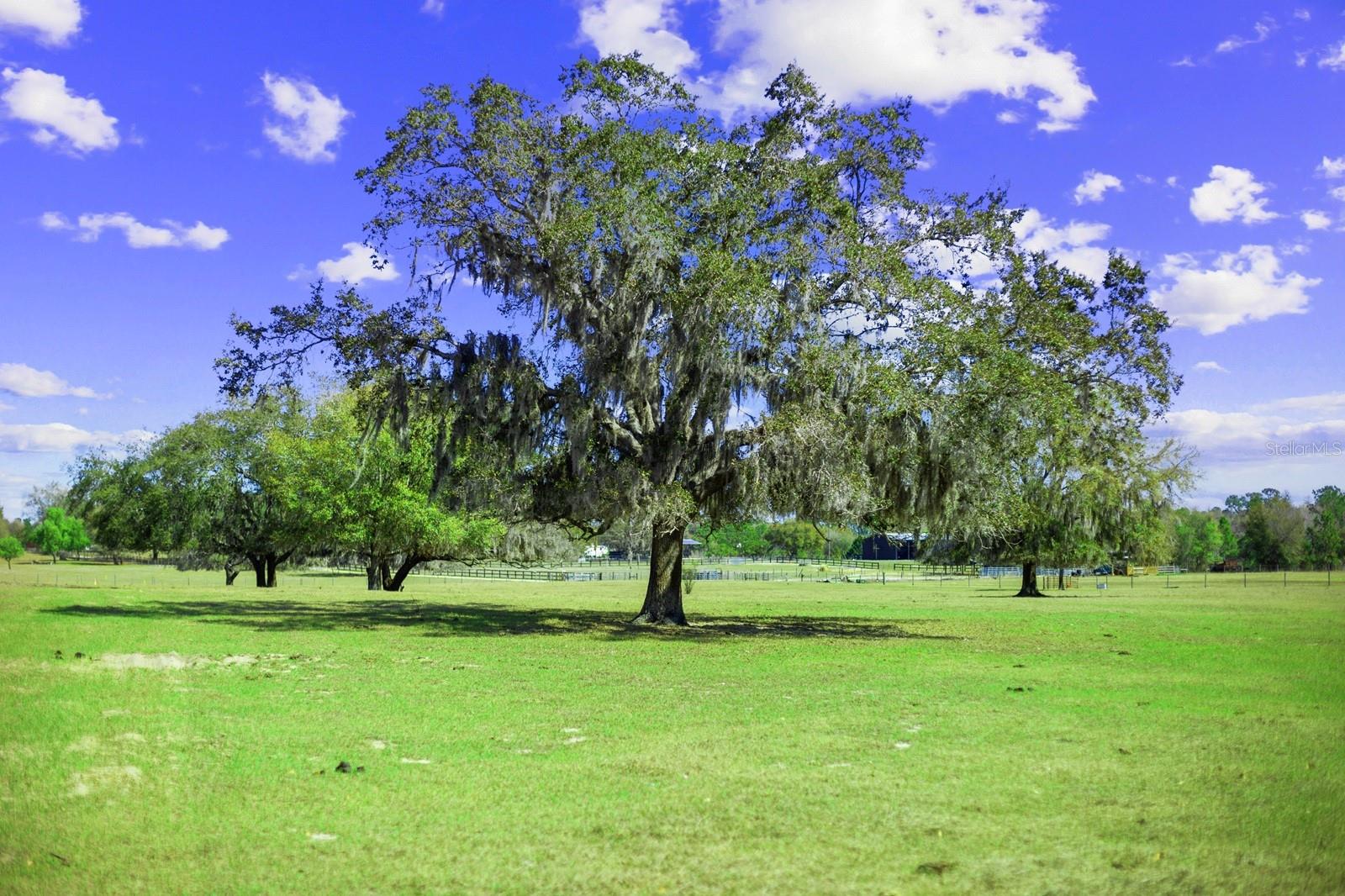 GROVELAND FARMS - Land