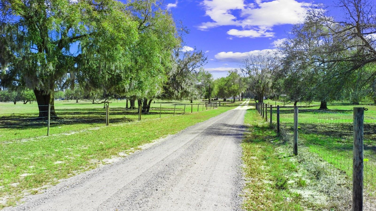 GROVELAND FARMS - Land