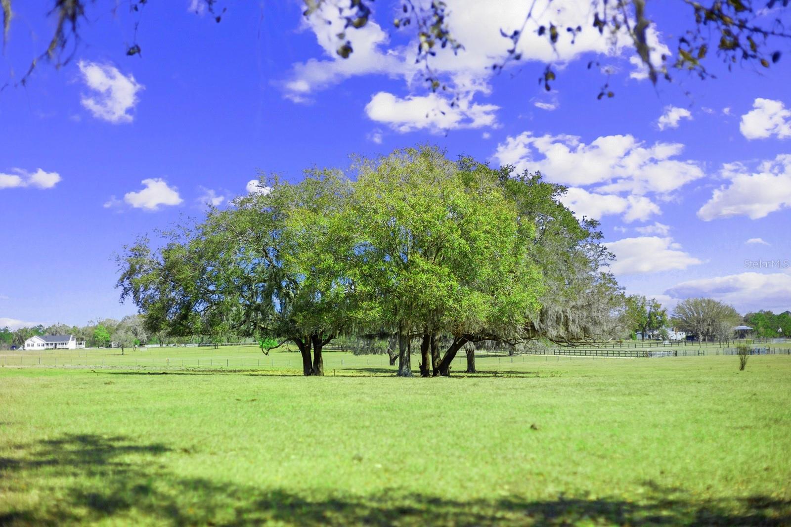 GROVELAND FARMS - Land