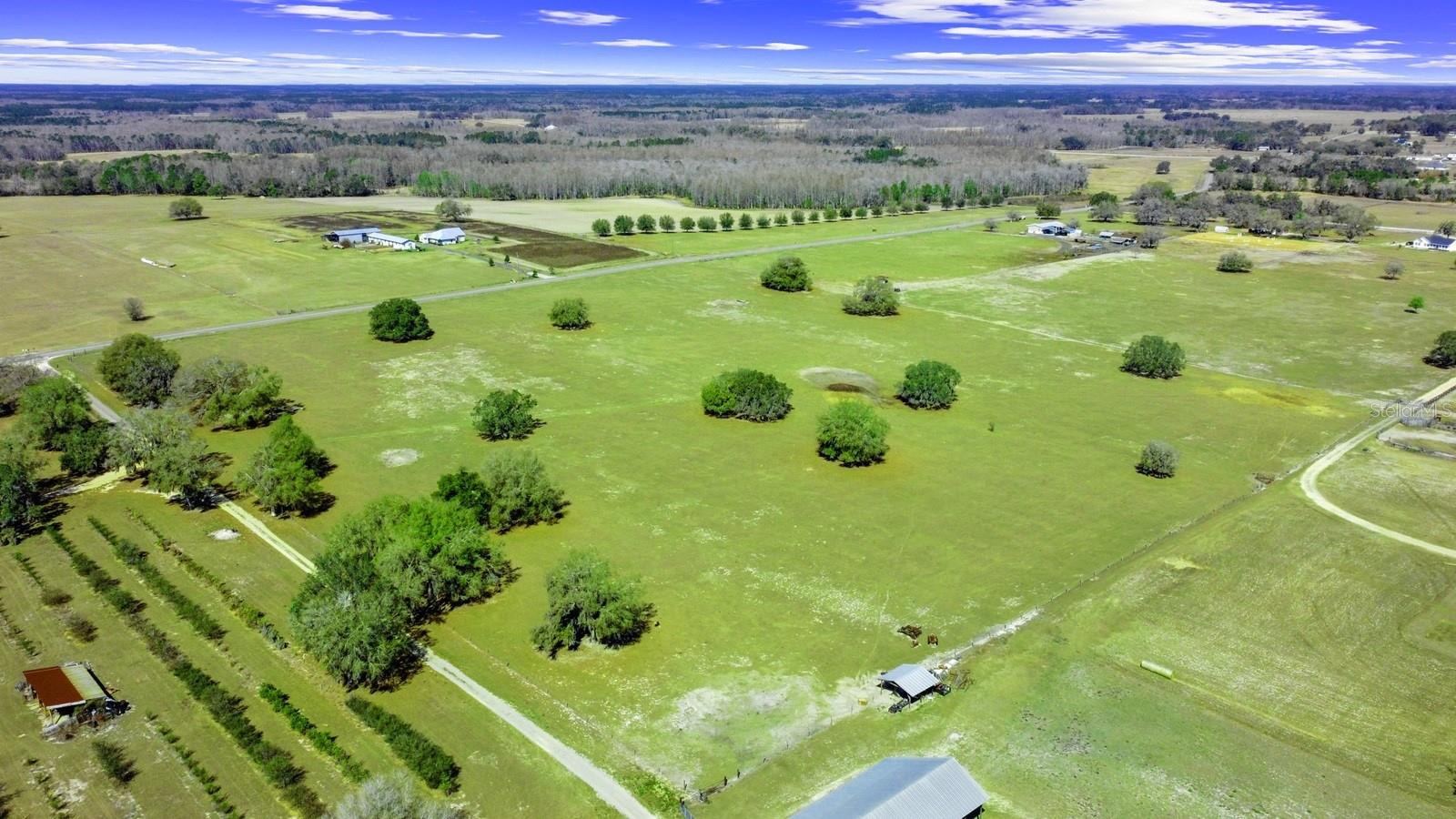 GROVELAND FARMS - Land