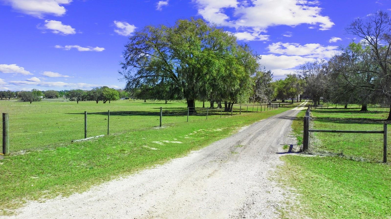 GROVELAND FARMS - Land