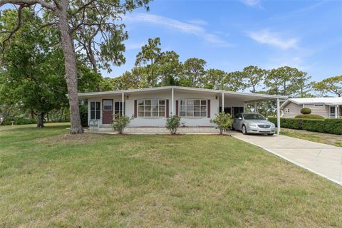Photo of 7637 Moriah Avenue, Brooksville, FL 34613 (MLS # TB8507954)