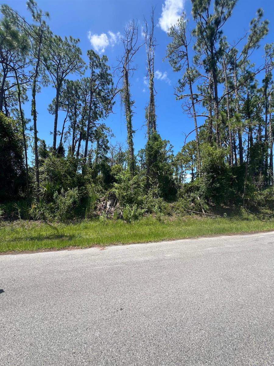 PORT CHARLOTTE SUB 18 - Land