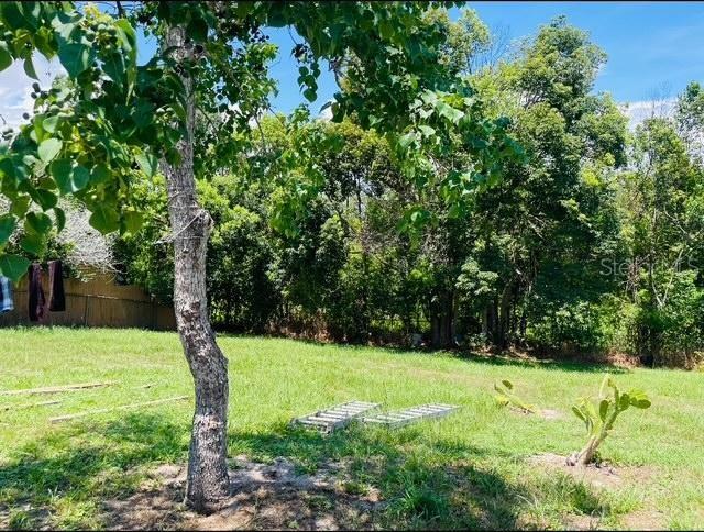 DELTONA LAKES UNIT 55 - Residential