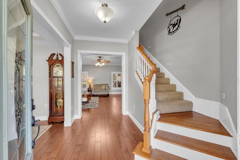 CLARK HOMESTEAD - Residential