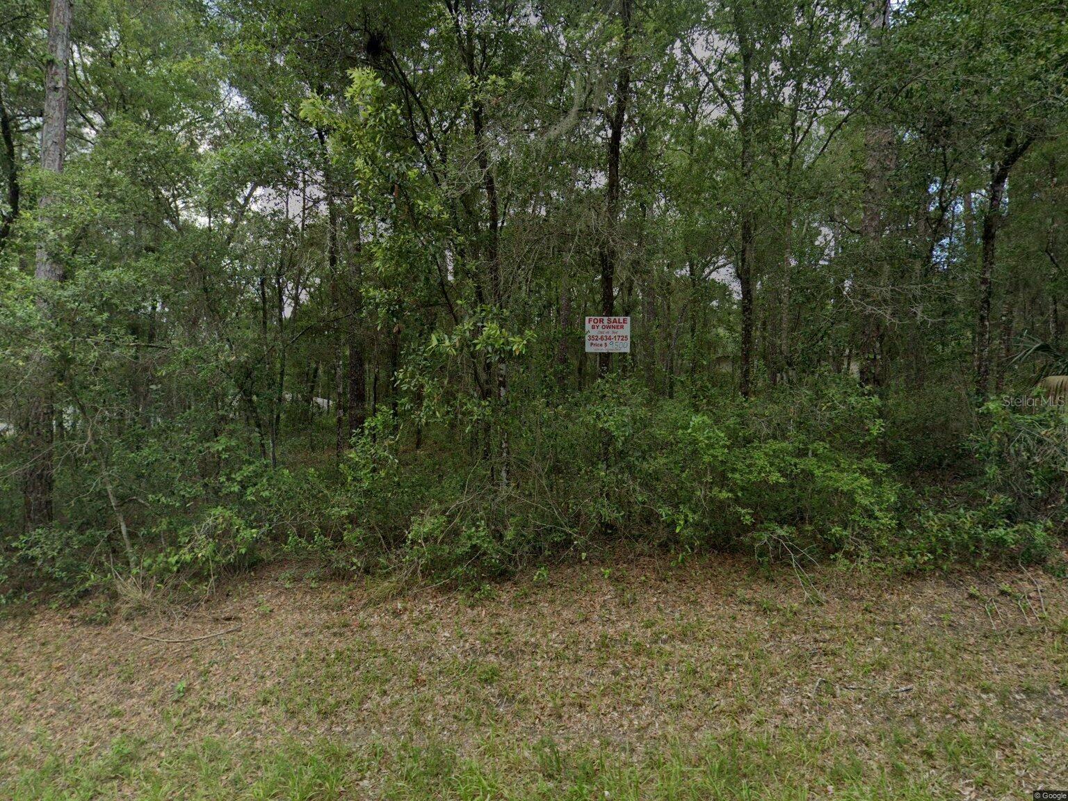 Vacant Land