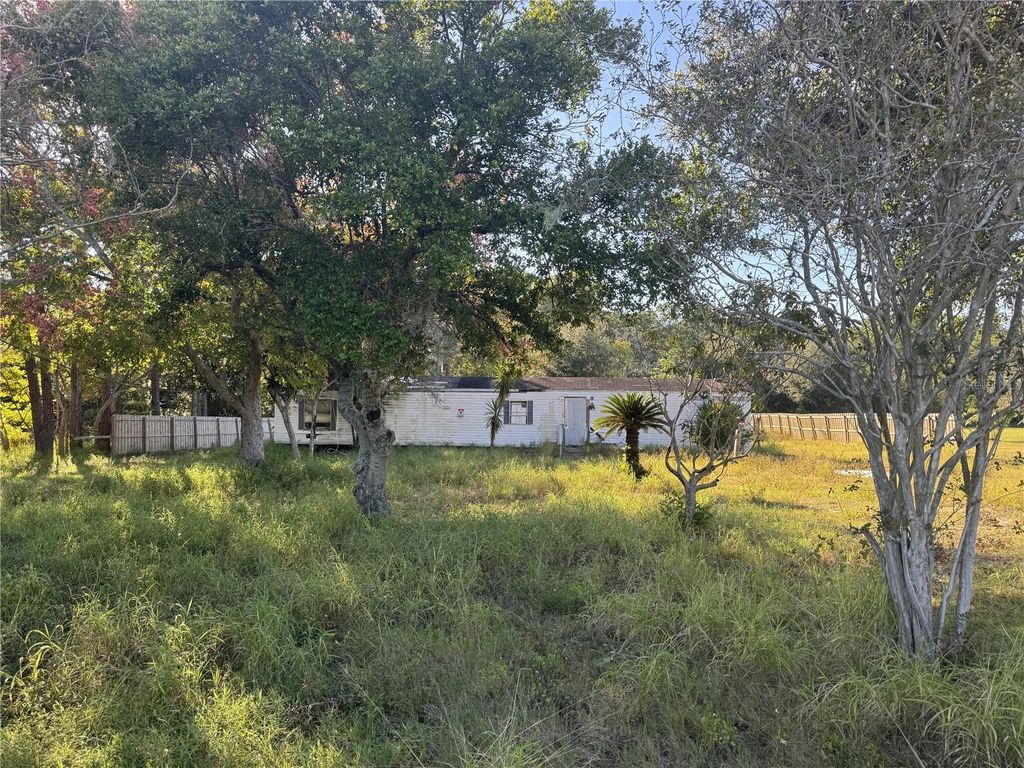 Photo of 10725 Demille Road, Polk City, FL 33868 (MLS # O6293989)