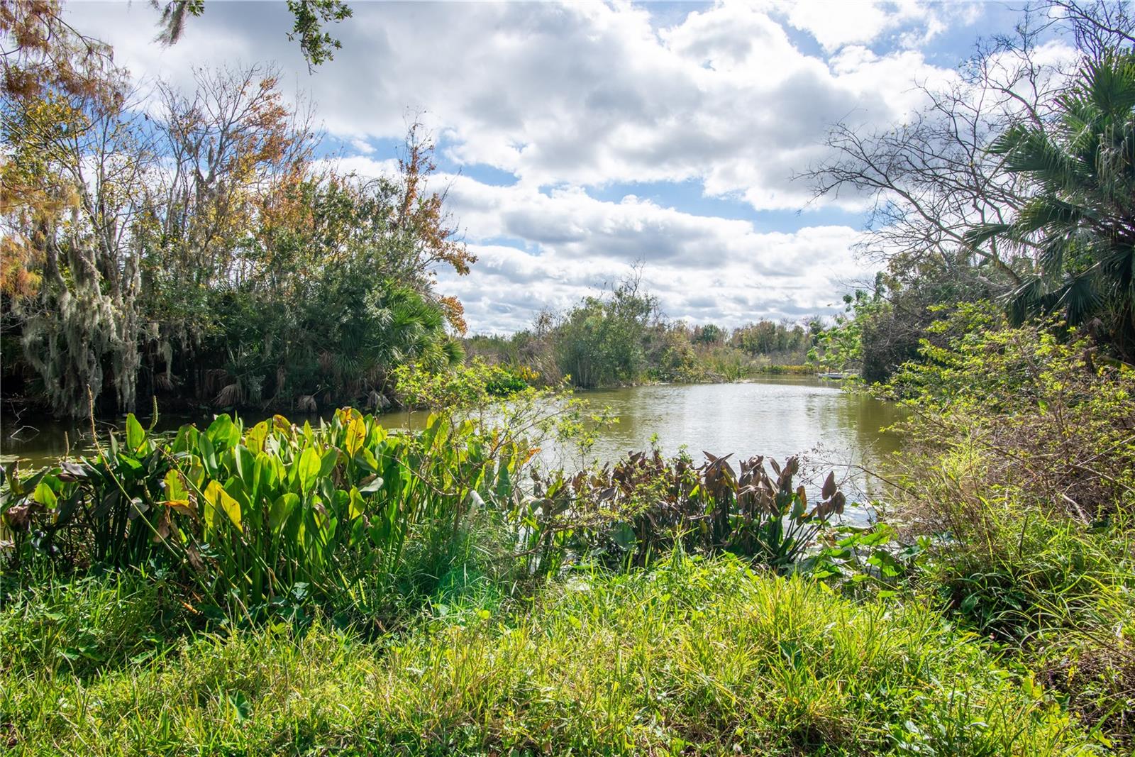 MONTVERDE MOBILE HOME SUB - Residential