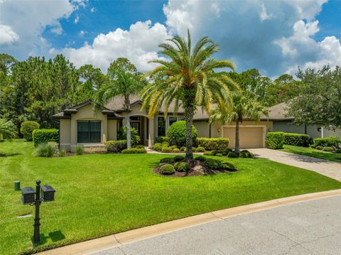 A home in ORMOND BEACH