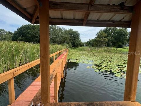 A home in EUSTIS