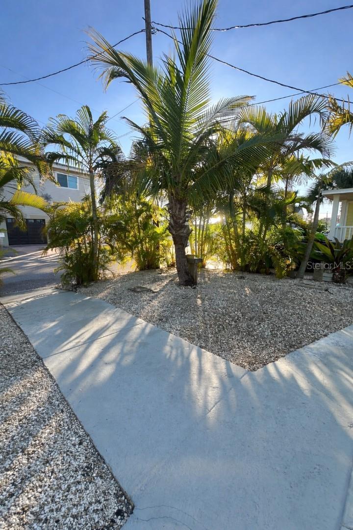 PAGES REP OF MITCHELLS BEACH 2 - Residential Lease