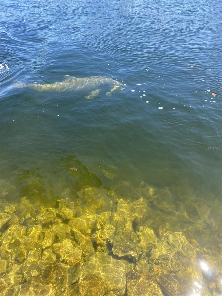 FLOR A MAR - Residential