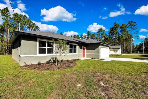 A home in CITRUS SPRINGS