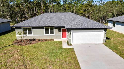 A home in CITRUS SPRINGS