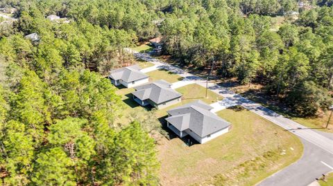 A home in CITRUS SPRINGS