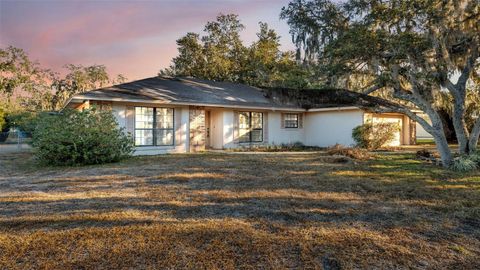 Photo of 1324 Costine Drive, Lakeland, FL 33809 (MLS # L4958737)