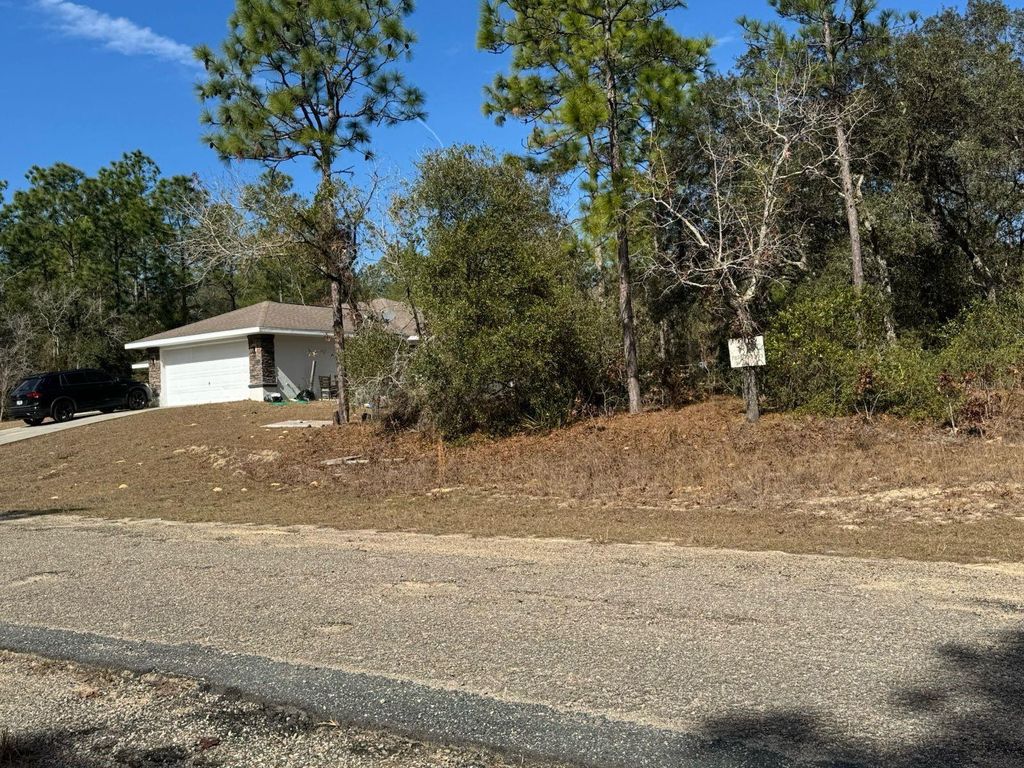 Photo of 3957 W Firewood Loop, Dunnellon, FL 34433 (MLS # O6391576)