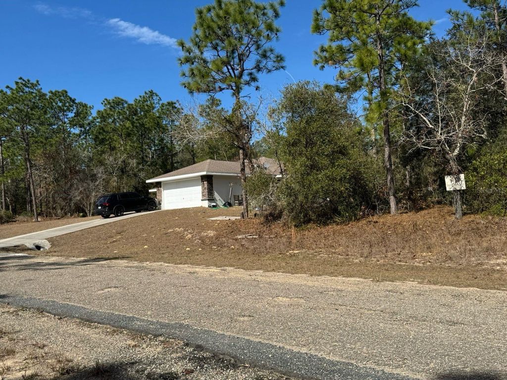 Photo of 3957 W Firewood Loop, Dunnellon, FL 34433 (MLS # O6391576)