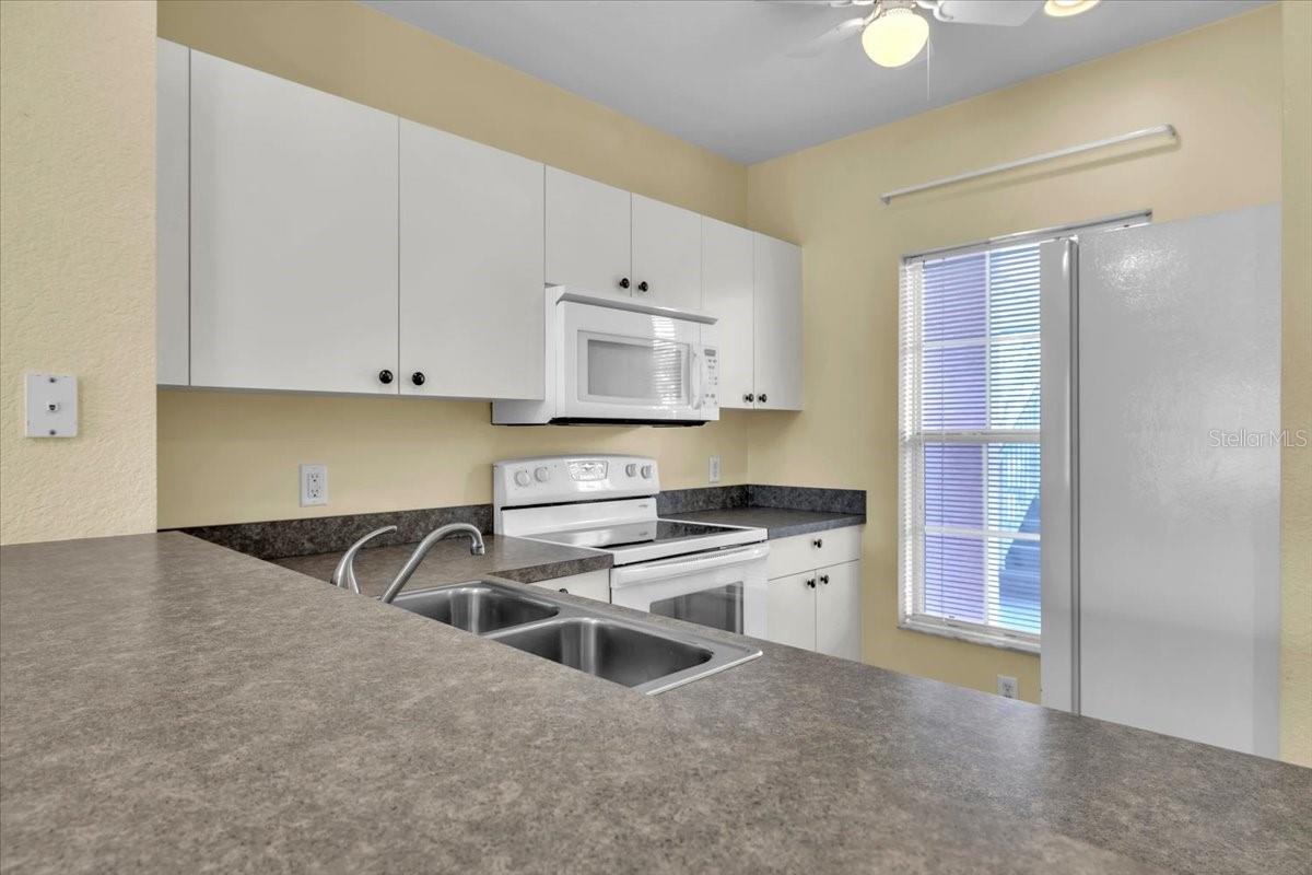 LAKE VIEW II HERITAGE LAKE PARK - Residential