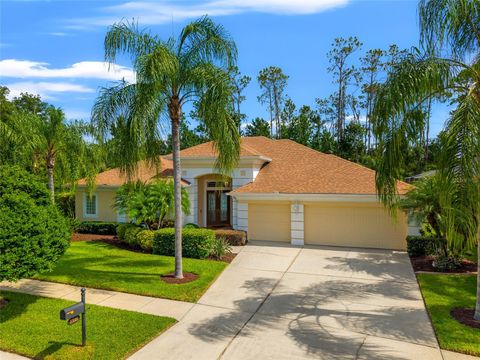 Photo of 27009 Laurel Chase Lane, Wesley Chapel, FL 33544 (MLS # TB8407492)
