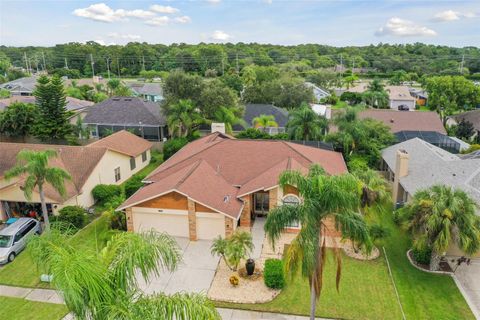 A home in PALM HARBOR