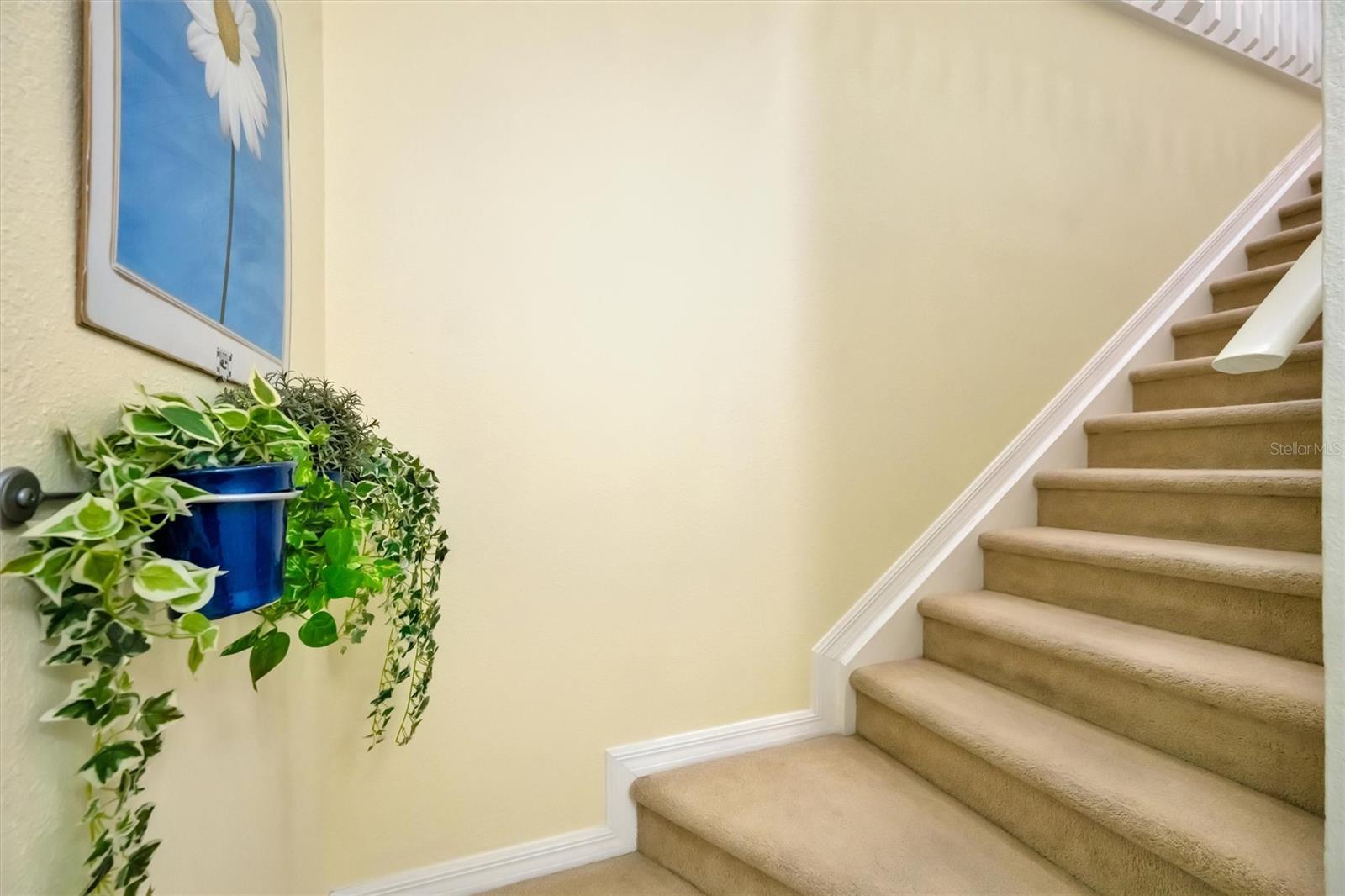 4083 OVERTURE CIRCLE