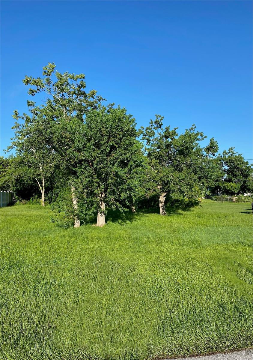 PORT CHARLOTTE SEC 005 - Land